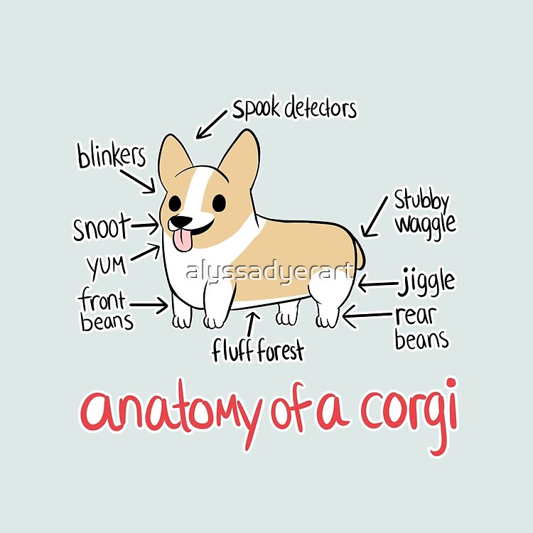 flat750x075f pad750x750f8f8f8 8 - Corgi Gifts