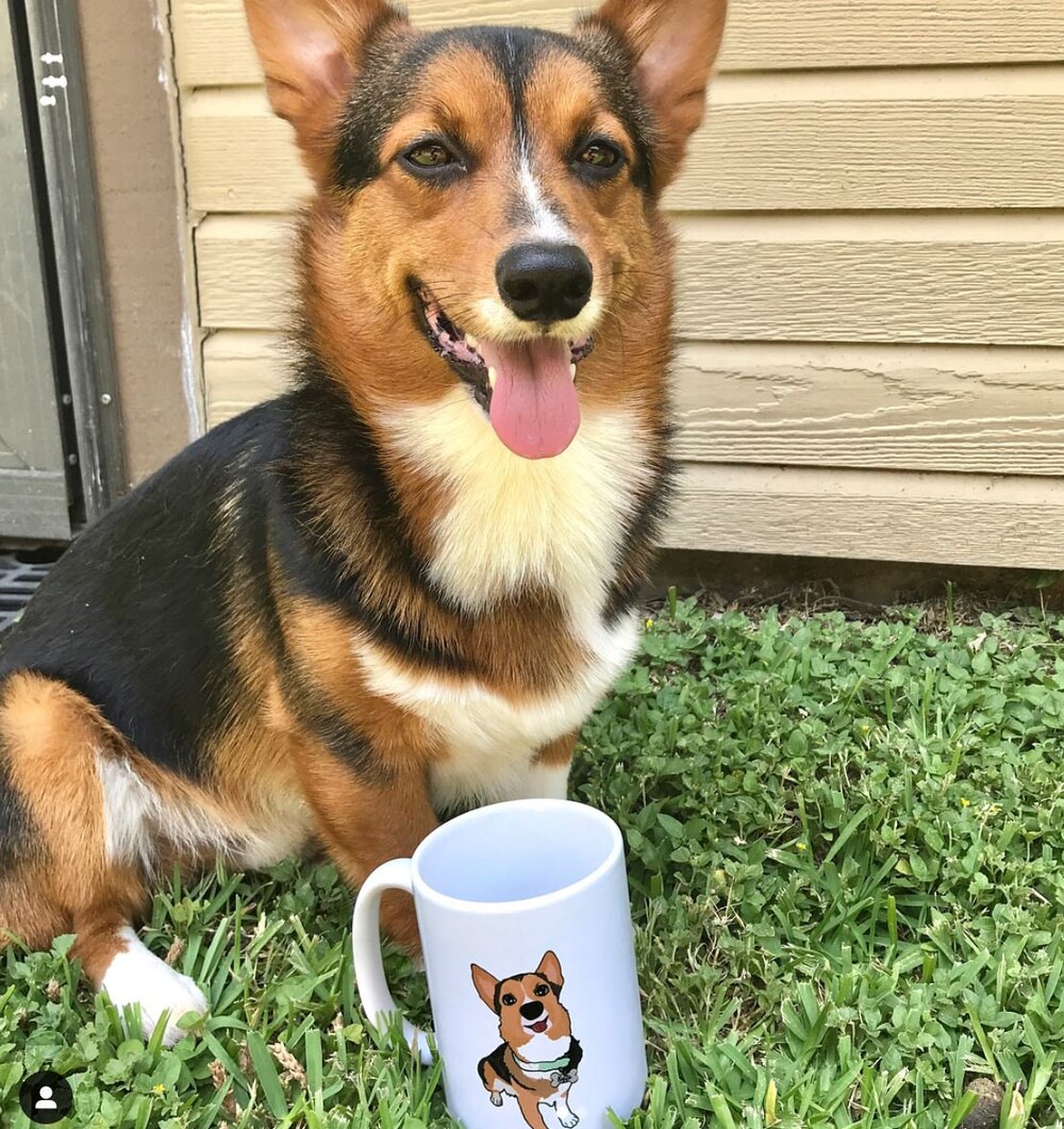 - Corgi Gifts