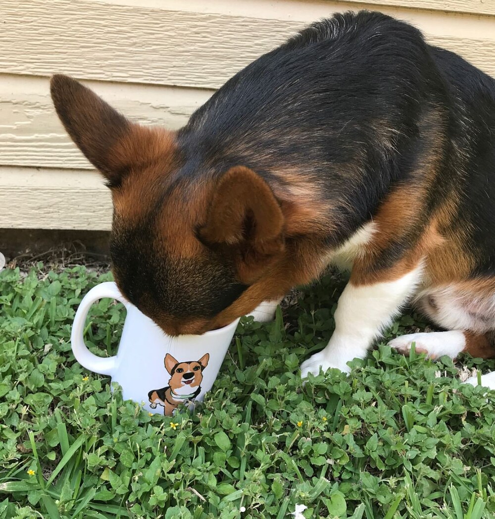 - Corgi Gifts