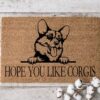 il 1000xN.3128698237 l74a - Corgi Gifts