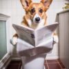 il 1000xN.4936277628 erda - Corgi Gifts UK