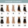 il 1000xN.5150762819 bu69 - Corgi Gifts