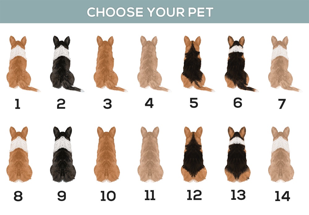 - Corgi Gifts
