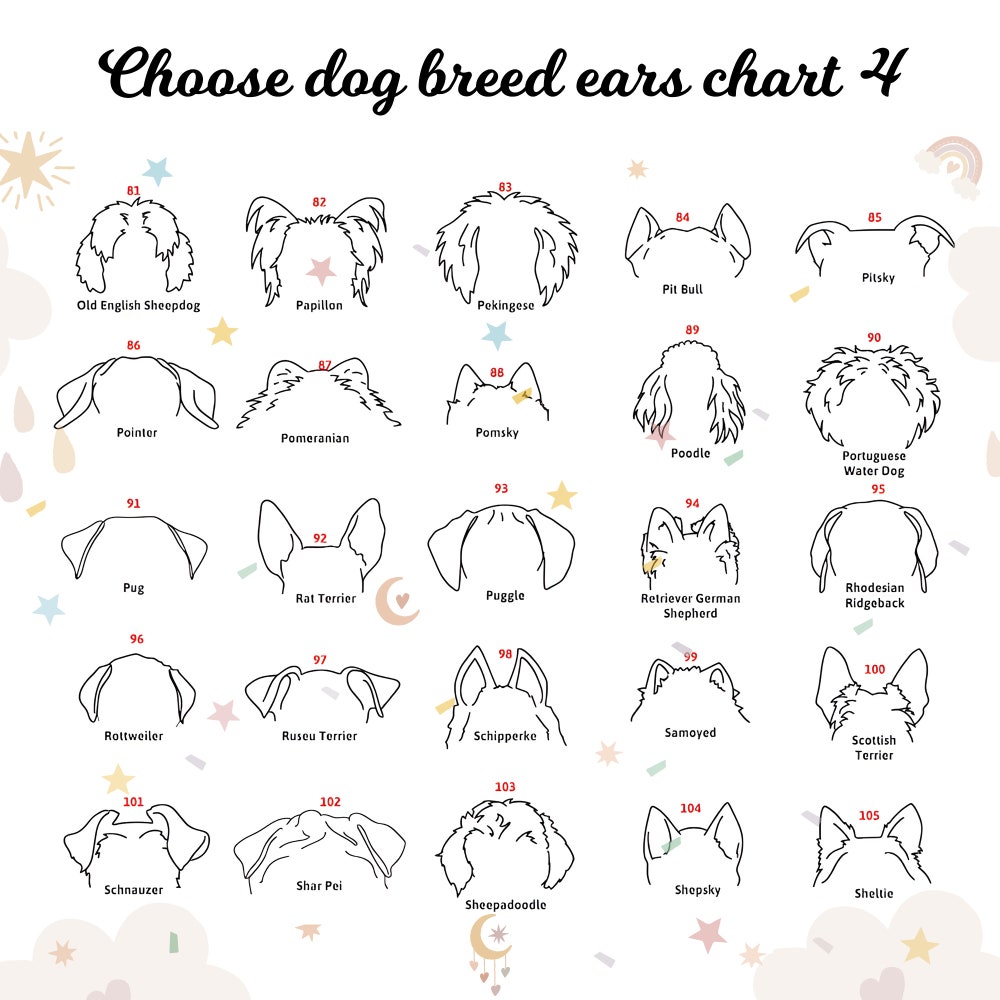 - Corgi Gifts