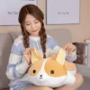 kf H1c5a3696c5004e5281f614f47e5006e65 - Corgi Gifts