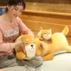 kf HTB12 oJa79E3KVjSZFGq6A19XXaE - Corgi Gifts