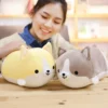 kf HTB16hZ2bfWG3KVjSZFPq6xaiXXaw - Corgi Gifts