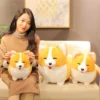 kf HTB1CMS0ayzxK1RjSspjq6AS.pXaw - Corgi Gifts