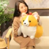 kf HTB1EomYasTxK1Rjy0Fgq6yovpXat - Corgi Gifts