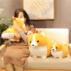 kf HTB1OfK1ayjrK1RjSsplq6xHmVXaO - Corgi Gifts