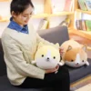 kf HTB1QBo2boWF3KVjSZPhq6xclXXa8 - Corgi Gifts