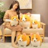 kf HTB1 Ee0aDHuK1RkSndVq6xVwpXa1 - Corgi Gifts