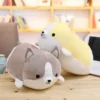 kf HTB1yCk3bk5E3KVjSZFCq6zuzXXae - Corgi Gifts