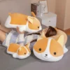 kf Ha9a56fd07b1d44f8984fe2a5b568ecc4R - Corgi Gifts