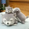 kf Hb12a3be2f23c4614a6dad9a1c1c43ce54 - Corgi Gifts