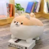 50cm-brown-shiba-inu