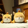 kf He8051d37f0104e68afc982c85b11b771r - Corgi Gifts