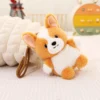 corgi