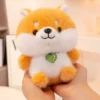 corgi