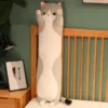 grey-cat