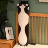 black-cat