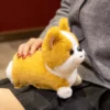 kf S6c3ce1d026404dfe9d95bb984458463f7 - Corgi Gifts