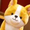 kf S87d03f8396df4901802c6a4f4ad1a922Z - Corgi Gifts