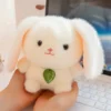 rabbit