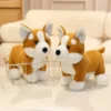 kf S93931c8ac7374b7fbe14c4a4135f469aC - Corgi Gifts