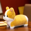 kf Sa101e8cf7dcc4f089a0c18966f48092cw - Corgi Gifts