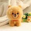chow-chow