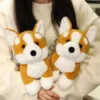 kf Sa5a87156cc1c4f8ebd5466290e48ac06a - Corgi Gifts