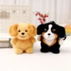kf Sad6b9a52f9ee40388292b33267bda146r - Corgi Gifts