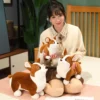 kf Sce60d5cadd454fe1a1415f27cf266c1bx - Corgi Gifts