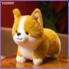 kf Sfe38513e27f848a484ec613256d510ddP - Corgi Gifts
